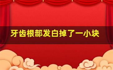 牙齿根部发白掉了一小块