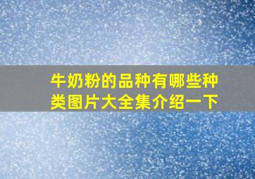 牛奶粉的品种有哪些种类图片大全集介绍一下