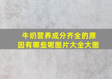 牛奶营养成分齐全的原因有哪些呢图片大全大图