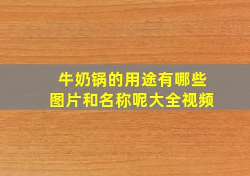 牛奶锅的用途有哪些图片和名称呢大全视频