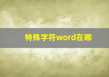 特殊字符word在哪