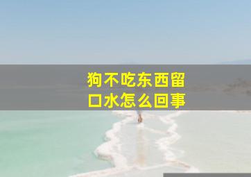 狗不吃东西留口水怎么回事