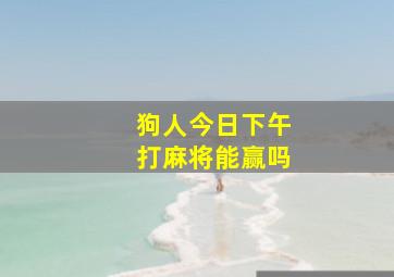 狗人今日下午打麻将能赢吗