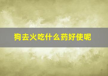 狗去火吃什么药好使呢