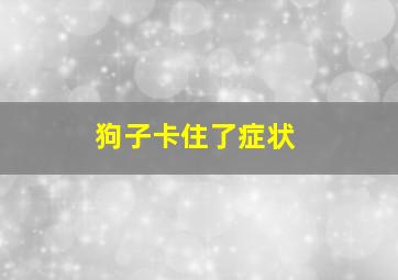 狗子卡住了症状