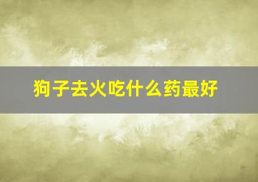 狗子去火吃什么药最好