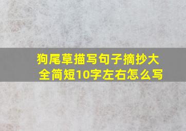 狗尾草描写句子摘抄大全简短10字左右怎么写