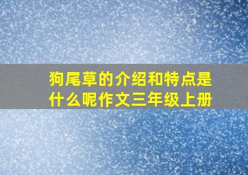 狗尾草的介绍和特点是什么呢作文三年级上册