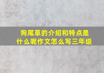 狗尾草的介绍和特点是什么呢作文怎么写三年级