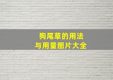 狗尾草的用法与用量图片大全