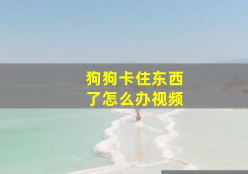 狗狗卡住东西了怎么办视频