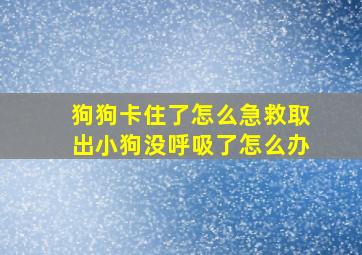 狗狗卡住了怎么急救取出小狗没呼吸了怎么办