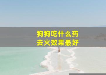 狗狗吃什么药去火效果最好