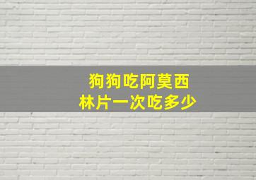 狗狗吃阿莫西林片一次吃多少