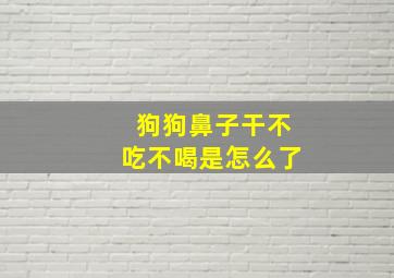 狗狗鼻子干不吃不喝是怎么了