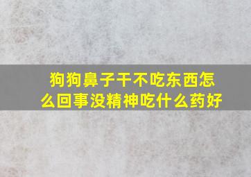 狗狗鼻子干不吃东西怎么回事没精神吃什么药好