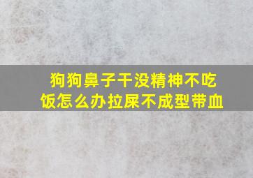 狗狗鼻子干没精神不吃饭怎么办拉屎不成型带血