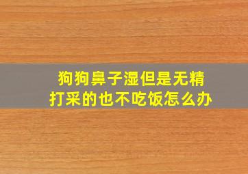 狗狗鼻子湿但是无精打采的也不吃饭怎么办