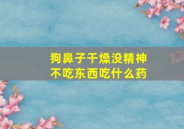 狗鼻子干燥没精神不吃东西吃什么药