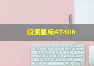 狼派鼠标AT406