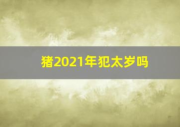 猪2021年犯太岁吗