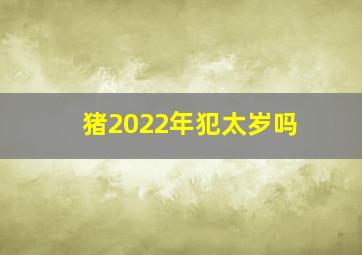 猪2022年犯太岁吗