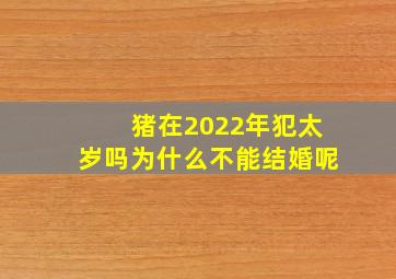 猪在2022年犯太岁吗为什么不能结婚呢