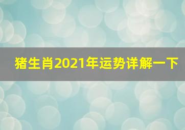 猪生肖2021年运势详解一下