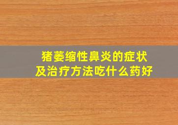 猪萎缩性鼻炎的症状及治疗方法吃什么药好