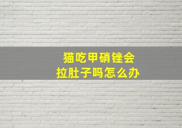 猫吃甲硝锉会拉肚子吗怎么办