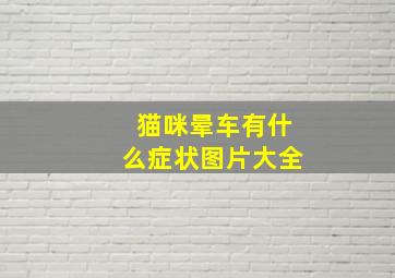 猫咪晕车有什么症状图片大全