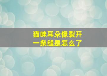 猫咪耳朵像裂开一条缝是怎么了