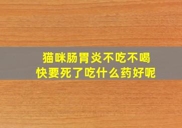 猫咪肠胃炎不吃不喝快要死了吃什么药好呢