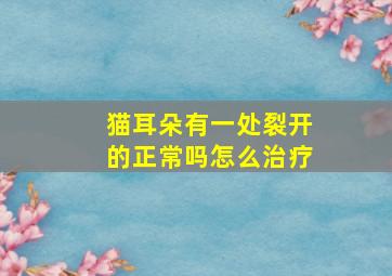 猫耳朵有一处裂开的正常吗怎么治疗