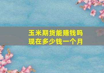 玉米期货能赚钱吗现在多少钱一个月