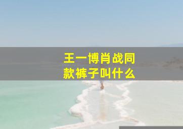 王一博肖战同款裤子叫什么