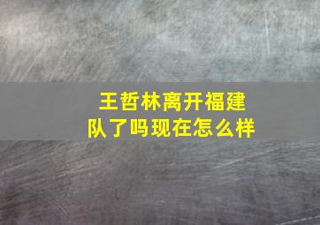 王哲林离开福建队了吗现在怎么样