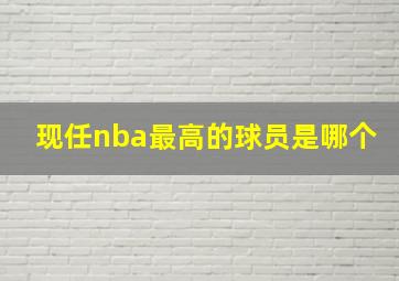 现任nba最高的球员是哪个