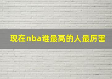 现在nba谁最高的人最厉害