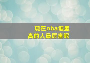 现在nba谁最高的人最厉害呢