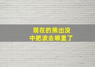 现在的熊出没中肥波去哪里了