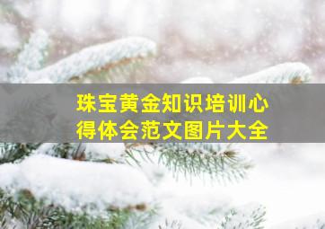 珠宝黄金知识培训心得体会范文图片大全