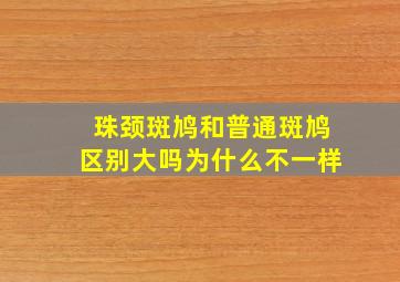 珠颈斑鸠和普通斑鸠区别大吗为什么不一样