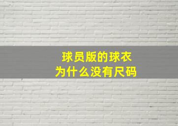 球员版的球衣为什么没有尺码