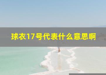 球衣17号代表什么意思啊