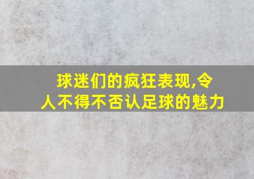 球迷们的疯狂表现,令人不得不否认足球的魅力