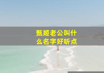 甄姬老公叫什么名字好听点