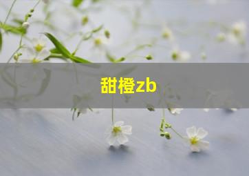 甜橙zb