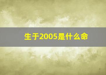 生于2005是什么命