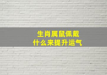 生肖属鼠佩戴什么来提升运气